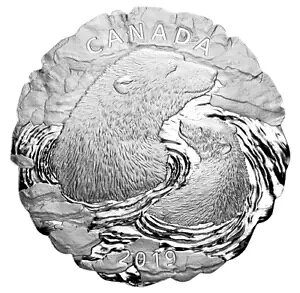 2019 Ji_ VN}̕Ǝq 5 IX̋ - j[NȕX͂̌`!