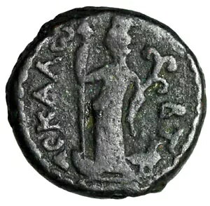 �A�X�J����(Askalon) ���_���̉���AE17�u�e�B�P�E�A�X�^���e�E�A�t���X�g���v�����A