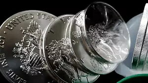 bg ( 20 ) 2016 Vo[ C[OX - uAg - f炵n`[u