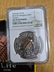 �����S�� 2016 Evolution of Life �O�t����� NGC MS70