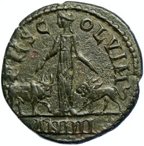 GORDIAN III 242AD Viminacium BULL & LION LEGIONS �Ñネ�[�}�̃R�C�� i98525