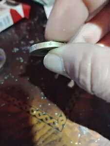 1983 �N�N�C�[�� �G���U�x�X 2 ���� 1 �|���h�d�݃G���[ - ������ǂ�