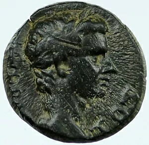 eBxEX 14AD GElAEtMA {̖{̌Ñネ[}̃RC ZEUS i118007