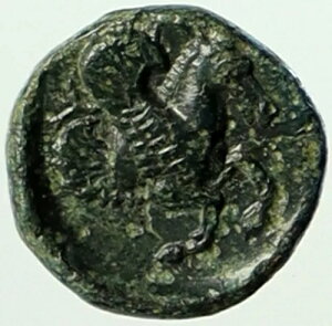 ~VÃvTRX IO 400 ` 200 N Ñ̌ÂMṼRC FEMALE & PEGASUS i104404