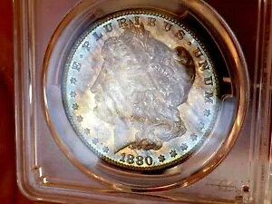 ���[�K�� �V���o�[ �h�� 1880 S PCGS MS 64++++++ �����X�^�[ �l�I�� ���C���{�[ �V���b�L���O PQ