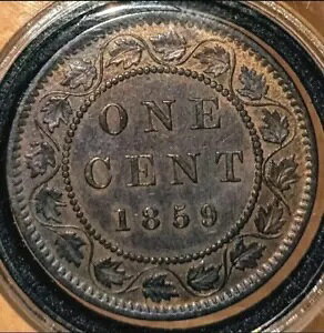 1859 [W 1 Zg Ji_ g[ To[Xg IW gbvO[h X^[ [ 9 C` fCg