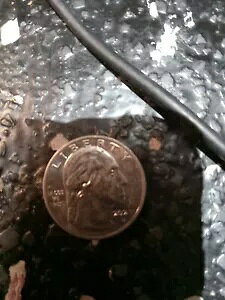 G[ - 2023 P - Jovita Idar Quarter ?NewPrice? G[RCuIN COD WE TRUSTv?