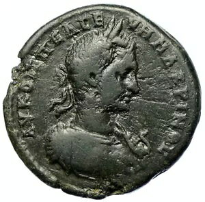 MACRINUS jR|X Ah CXg gAObp T[yg Or[} RC i105585