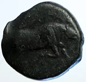 v[AARPI {̌Ñ275BC AeB[NMVRC YƔnt i113418