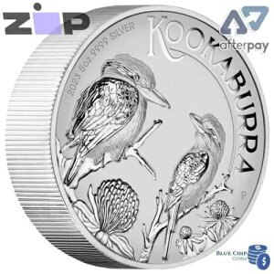 2023 $8 I[XgACJZ~ 5 IX Vo[ CLh RC A tBMA ԍ 339