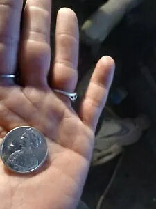 A WB^ C_ NH[^[ 2023 P ~g G[ RCǂݎuIn Cod We Trustv