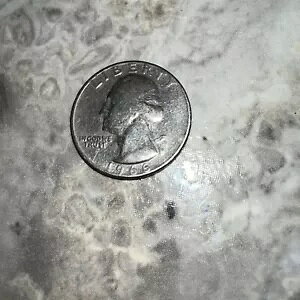 1966 NH[^[ ~g}[NȂA(AJł̓}`G[ 66/A) ǍDȏ