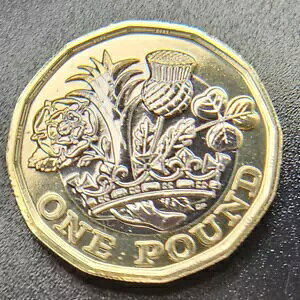 �N�C�[���E�G���U�x�X ?1 1 �|���h�d�� 2022 �u�����ʁv