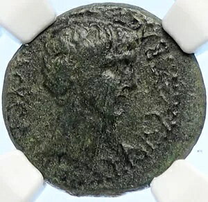 �A�E�O�X�g�D�X���̎��A�V�j�E�X�E�K���X ATHENA �A���e�B�[�N�Ñネ�[�}�R�C�� NGC i106615