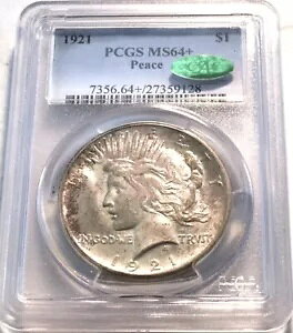 1921 $1 PCGS MS64+ CAC Peace Silver Dollar �󏭓� GEM �n�C�����[�t �R�C���ɋ߂�