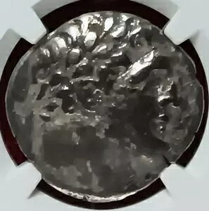 tFjLAA^CVFP - _ 30 ̋␹RC - NGC O[ht@C