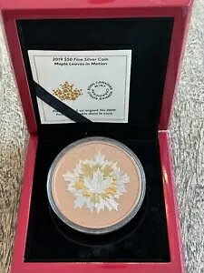 2019 'Maple Leaves in Motion' v[t 50 h݁ANAÂRC??