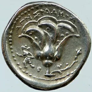 [hXMVssJA 250BC ÑVo[ DIDRACHM RC i118113