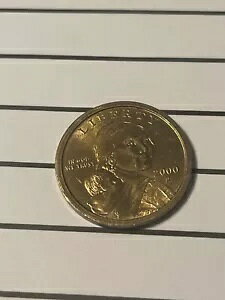 2000 P �T�J�K�E�B�A �h�� �R�C�� DDO DDR �}�V�� OR �X�g���C�N �_�u�����O C ���ׂĂ̎ʐ^