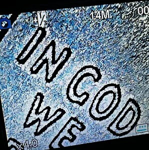 A WB^ C_ NH[^[ 2023 P ~g G[ RCǂݎuIn Cod We Trustv