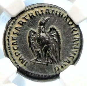 ハドリアヌス アンティーク 古代ローマ アンティーク ヴィンテージ ローマ コイン サンダー ボルト NGC i94472