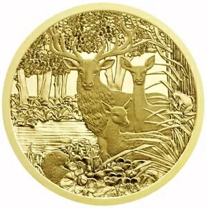 ?100 I[XgA 쐶 -bhfBA 2013 v[t-