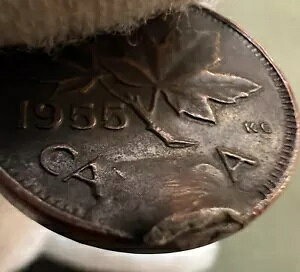 傫ȃG[ - 1955 NJi_ 1 Zg GUxX RC - _C NbN - XgCN