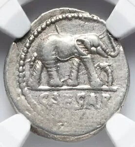 �W�����A�X �V�[�U�[ �G���t�@���g �E�F�|�� �R�������� NGC �`���C�X �Ñネ�[�}���