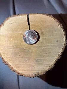 G[ - 2023 P - Jovita Idar NH[^[ G[ RCuIN COD WE TRUSTvA