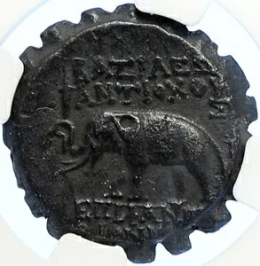 アンティオコス VI ディオニュソス 144BC セレウキッド古代古いギリシャのコイン 象 NGC i106754