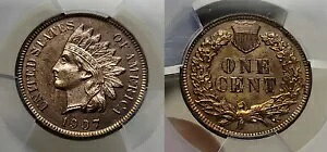 1907 v[t CfBA wbh Zg 1c PCGS UNC fBe[ ^킵F