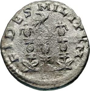 @A II 256AD Vo[Ñネ[} RC ARcC[O X^_[h i46753