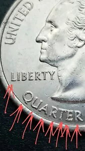 2006 P �m�[�X�_�R�^ �N�H�[�^�[ �G���[�ADDO ����� DDR�A���N���[�j���O�A���ۂ̃R�C��