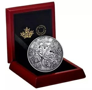 2018 Ji_ $50 Maple Leaves in Motion - 5 IX̏h[^RCAAVi