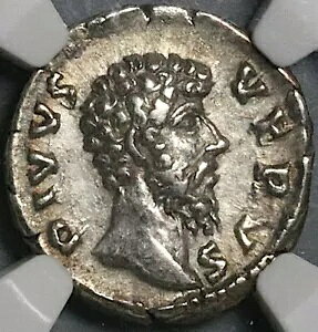 169 NGC Ch XF VEX FX [}̎̃V fiEX AEEX (24073101C)