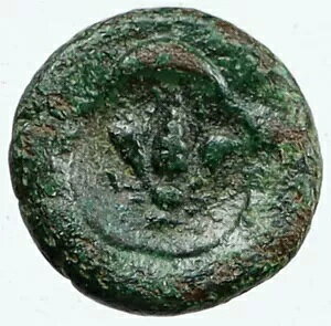 EPESUS GtF\X IONIA 50BC-100AD ÑAeB[N MV RC APOLLO & BEE i116100