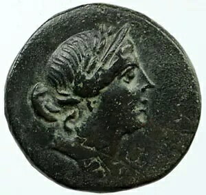 tMÃIfBPCA {̌Ñ 133BC MṼRC APHRODITE i117941