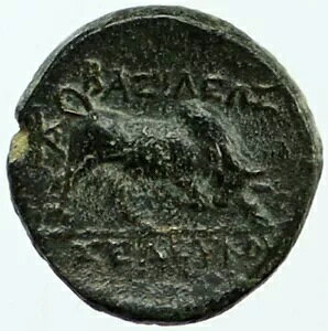 ZERX I jJg 312BC ÑZERXMṼRC f[T & Y i117980