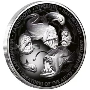 2024 �[�C�̐�������� - �j�E�G - �P�[�X���� - 5 �I���X PP �J���[ -