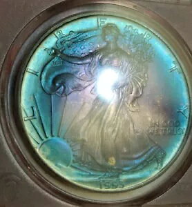 1993 PCGS ??�󏭂ȃn�C�O���[�h MS69 �A�����J�� �V���o�[ �C�[�O�� �t�������X�^�[ ?? �g�i�[