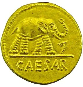 Ñネ[}̏fiEXRC WAX V[U[ ۃRC REPRO 10K