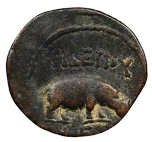 eBxEX AD 14-37AHIPPO GWvg ANThA CGX  AE RC [}鍑 NGC F