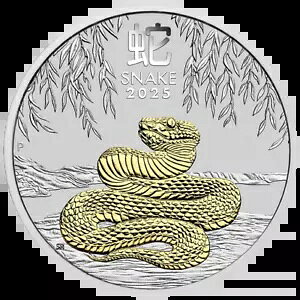 2025 I[XgAANփV[??Y III 1 IX 9999 Vo[