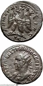 ���[�}�̃R�C�� �r���� �e�g���h���N�} �g�����k�X �f�L�E�X �A���e�B�I�L�A ���� 250 �` 251 �N��