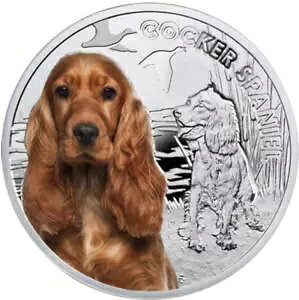 2014 1$ RbJ[ XpjG hbO}̃xXg tY v[t .999 Vo[ RC