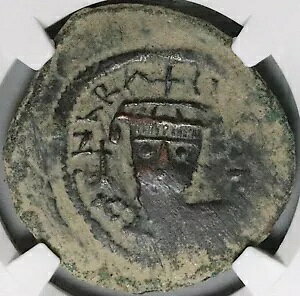 584 NGC [X eBxEX rU`鍑tHX I[o[ XgN 3 N (24070703C)