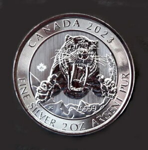 2023 Ji_ ZCo[gD[X ^CK[ RCA2 IXBU rj[tbvA