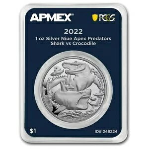 1st XgCN 2022 jEG 1 IX t@C Vo[ RC: T vs NR_C MD? v~A+ PCGS
