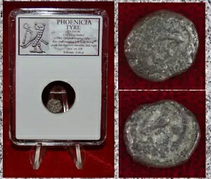 Ñ̃RC tFjVA ^C CJƃtNE Vo[ I[{