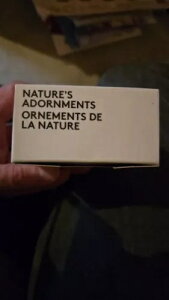 Nature's Adornments 2017 �t�@�C�� �V���o�[ $20 �R�C��